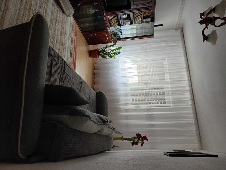 Apartament cu 2 camere decomandat în Broșteni