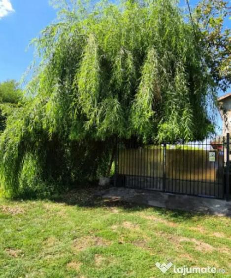 Casă cu 5 camere cu Teren 794 Mp în Livedea