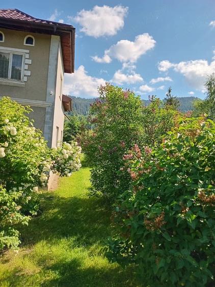 Casă cu 3 camere cu Teren 3557 Mp în Argestru