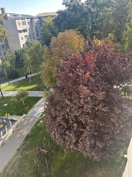 Apartament cu 2 camere decomandat în Morăreni