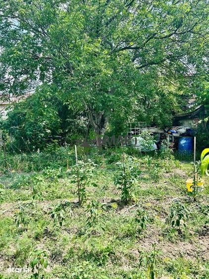 Casă cu 3 camere cu Teren 1100 Mp în Vasile Alecsandri