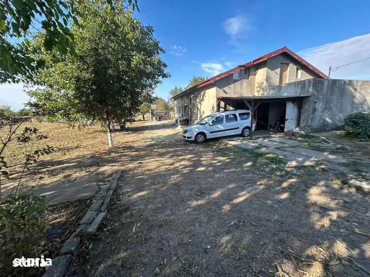 Casă cu 7 camere cu Teren 3000 Mp în Ileana
