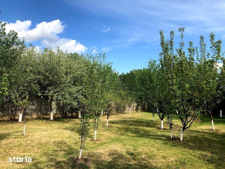 Casă cu 6 camere cu Teren 2000 Mp în Gruiu