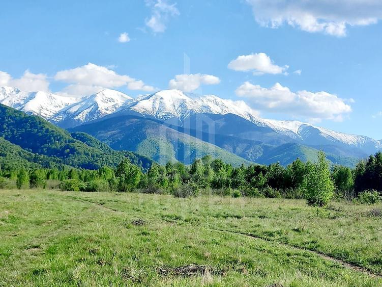 Teren extravilan de 2500 mp, în Porumbacu de Jos