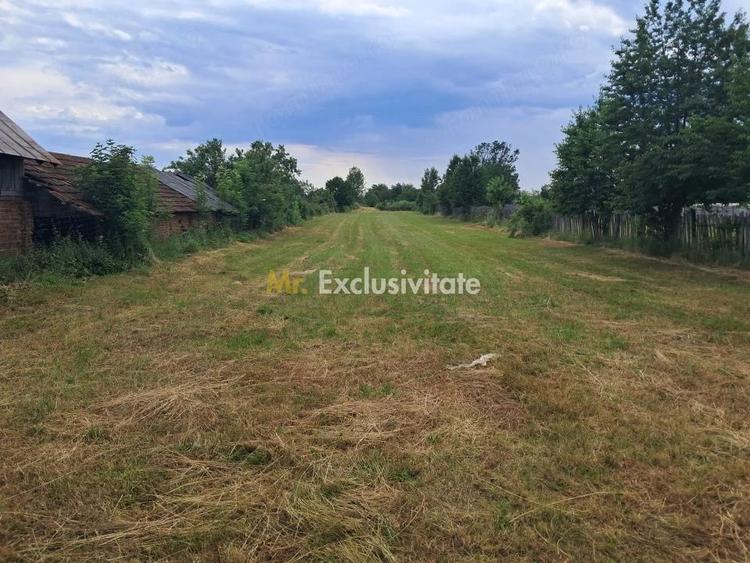 Teren de 3677 mp, în Polovragi