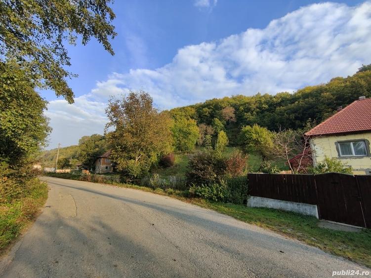 Casă cu 4 camere cu Teren 7000 Mp în Almașu Mare