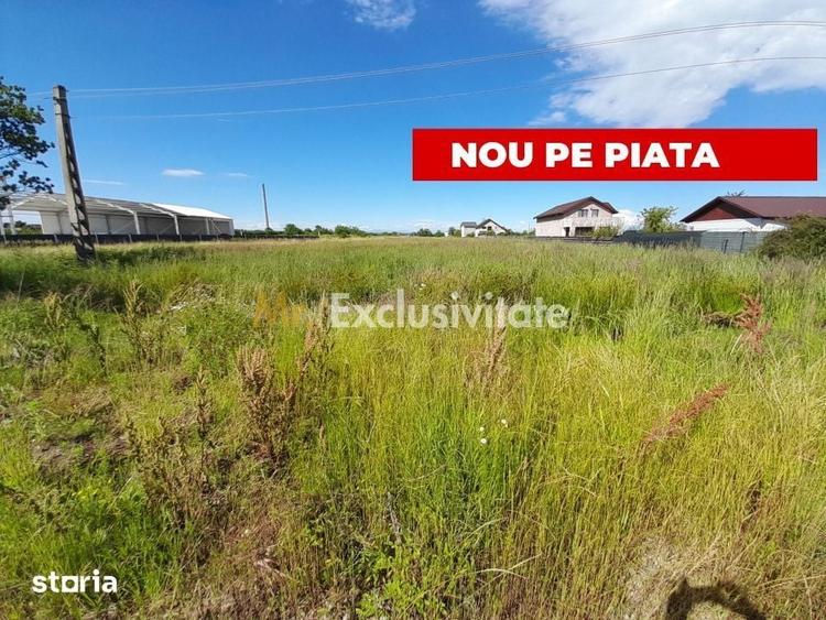 Teren intravilan Bradu 1312 mp 2 deschideri - 2