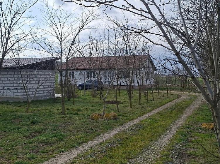 Teren de 90000 mp, în Central