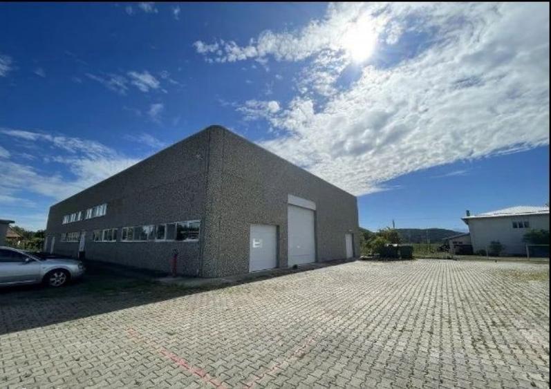Spațiu comercial, de 1,000 mp, în Șelimbăr