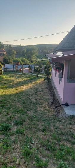 casa Visinelu Mures - 2