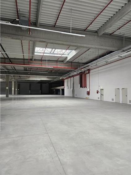 Spatiu Industrial - 3500 mp - Productie - Depozitare - Distributie - 6