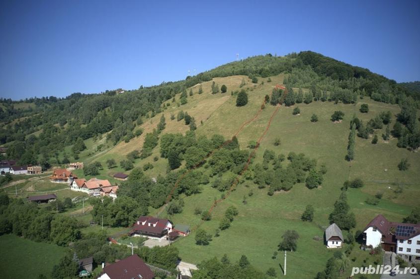 Teren de 5000 mp, în Moieciu