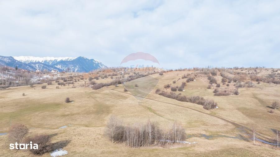 Teren de 4500 mp, în Central