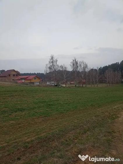 Teren în Reci