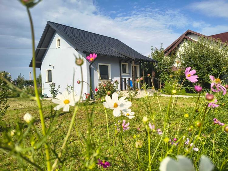Casă cu 2 camere cu Teren 250 Mp în Lisaura