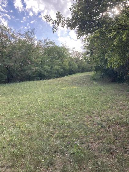 Teren de 1200 mp, în Vinerea