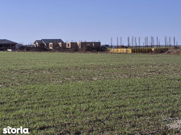 Teren Balotesti,1000 mp,49E/mp,vecin Terra Residence 3 - 4