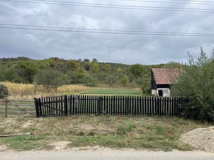 Teren de 1602 mp, în Petrindu