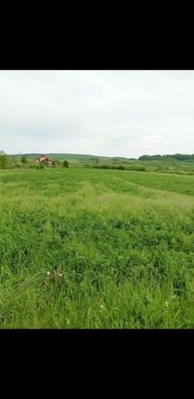 Teren Construcții intravilan de 5000 mp, în Ciurea