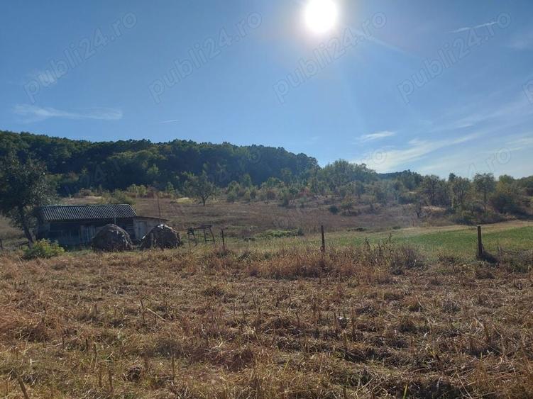 Teren de 76393 mp, în Vladimir