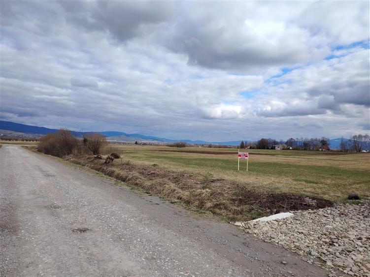 Teren Construcții intravilan de 2810 mp, în Sineu