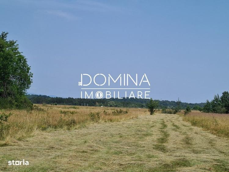 Spațiu comercial, în Dobrița