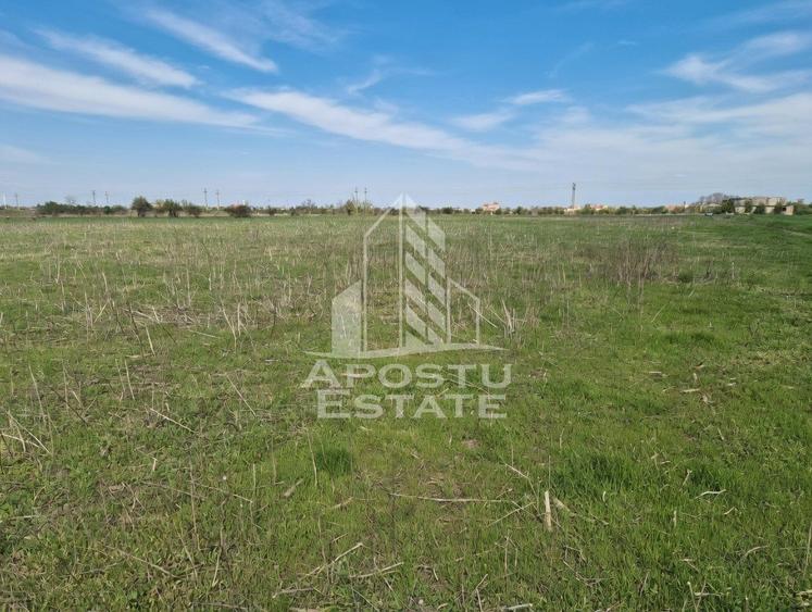 Teren Construcții intravilan de 10900 mp, în Sud