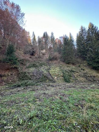Teren de 2882 mp, în Dâmbovicioara