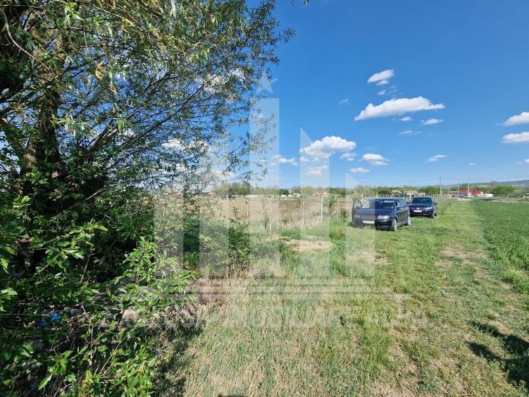 Teren agricol extravilan de 2600 mp, în Partoș