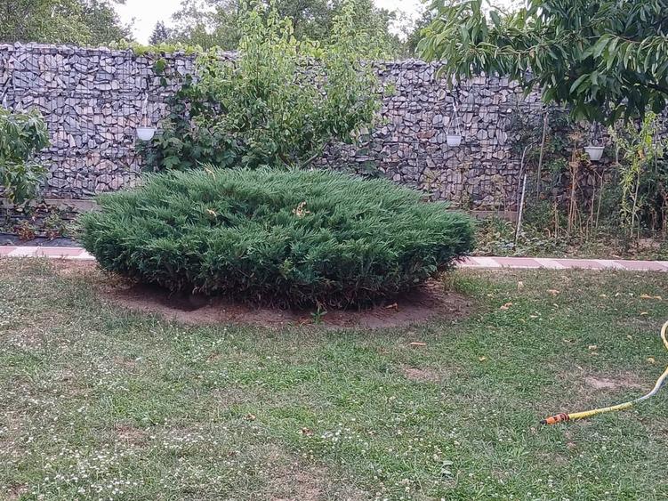 Casă cu 4 camere cu Teren 769 Mp în Șișești