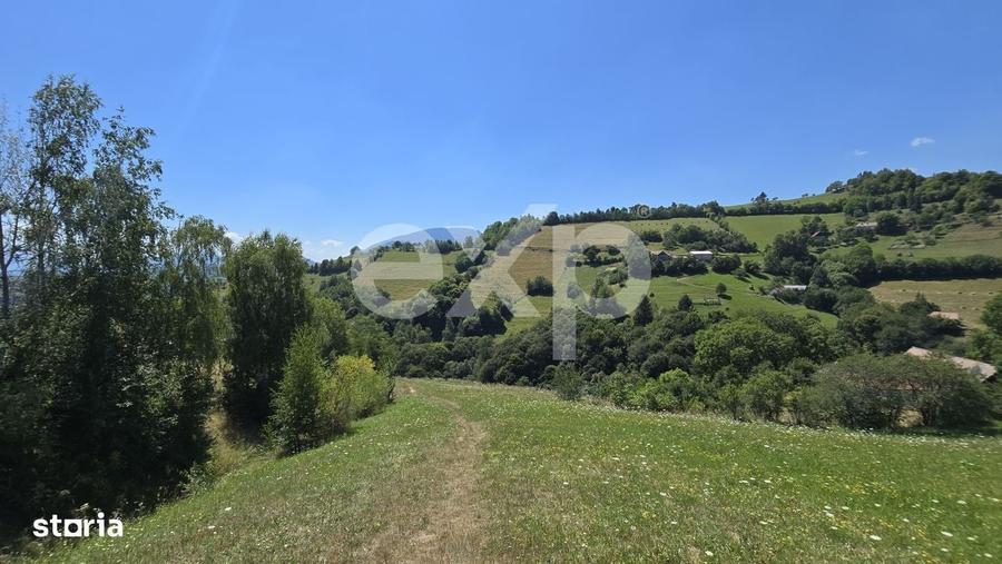 3.757 mp in Poiana Marului | Teren cu potential, langa case - 5