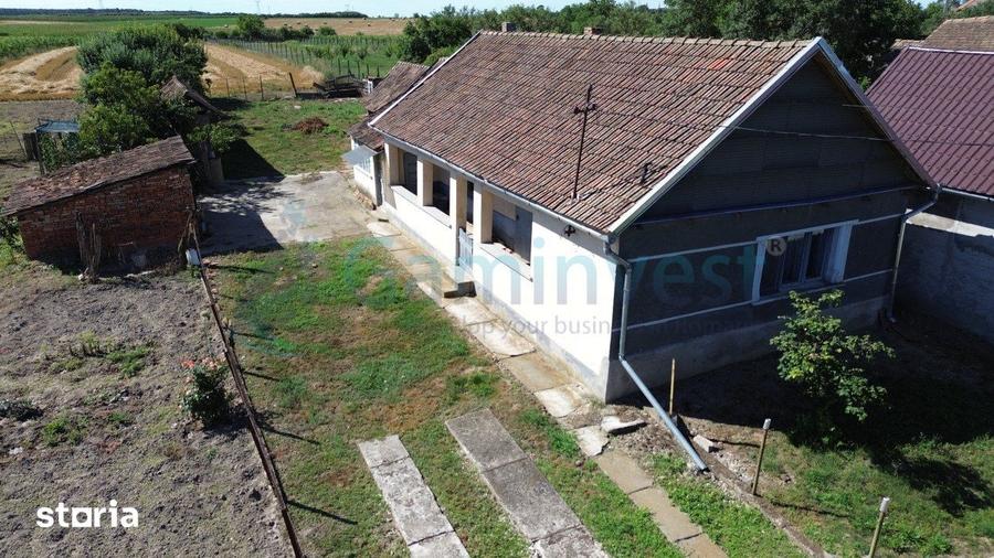 Casă cu 3 camere cu Teren 4192 Mp în Gepiu