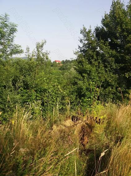 Vand teren, Jud. Valcea, dist.7kilomotri. - 7