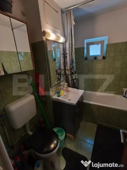 Apartament cu 2 camere decomandat în Rovine