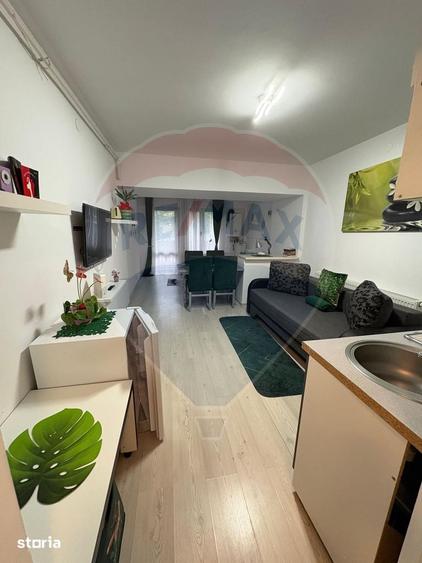 Afacere sau relaxare - studio cochet in Poiana Bra?ov - 2