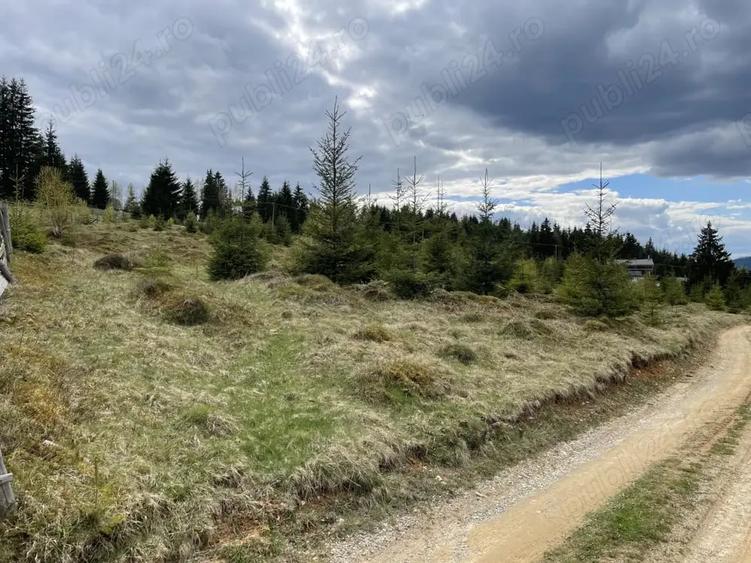 Teren de 5000 mp, în Cozănești