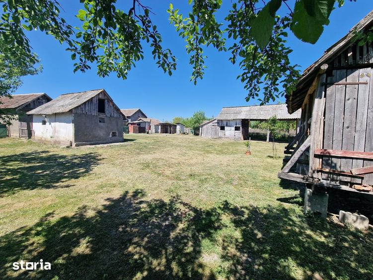 Casă cu 6 camere cu Teren 4780 Mp în Homorog