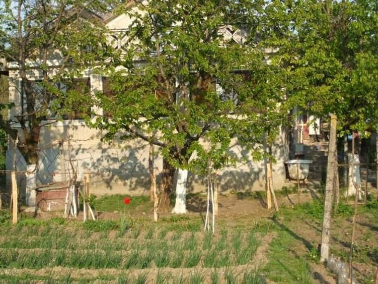Casă cu 3 camere cu Teren 2000 Mp în Zorleni