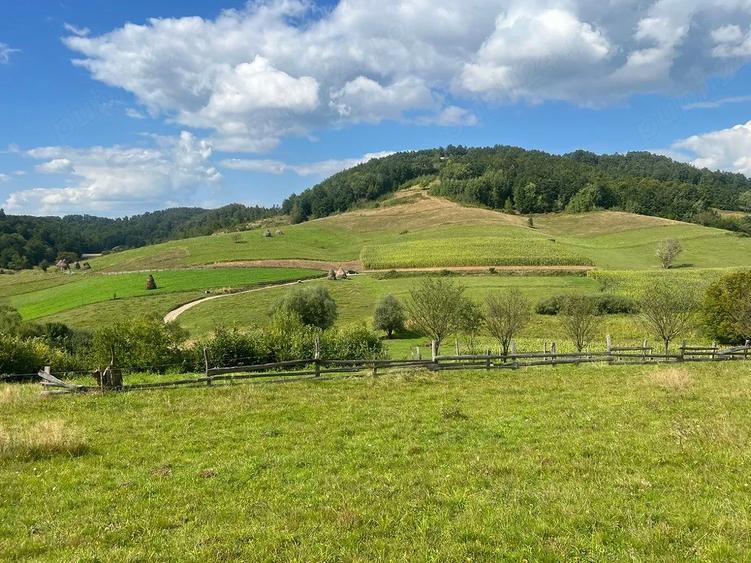 Teren extravilan 60 ari in Ro?ia, Bihor Langa parau, ideal pentru glamping, cabane sau ferma - 5