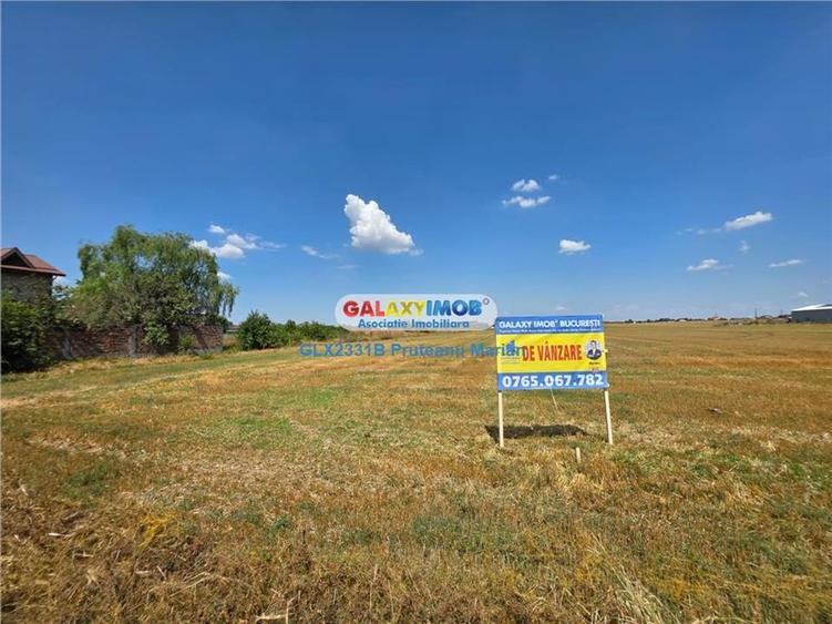 Teren Construcții intravilan de 24995 mp, în Clinceni