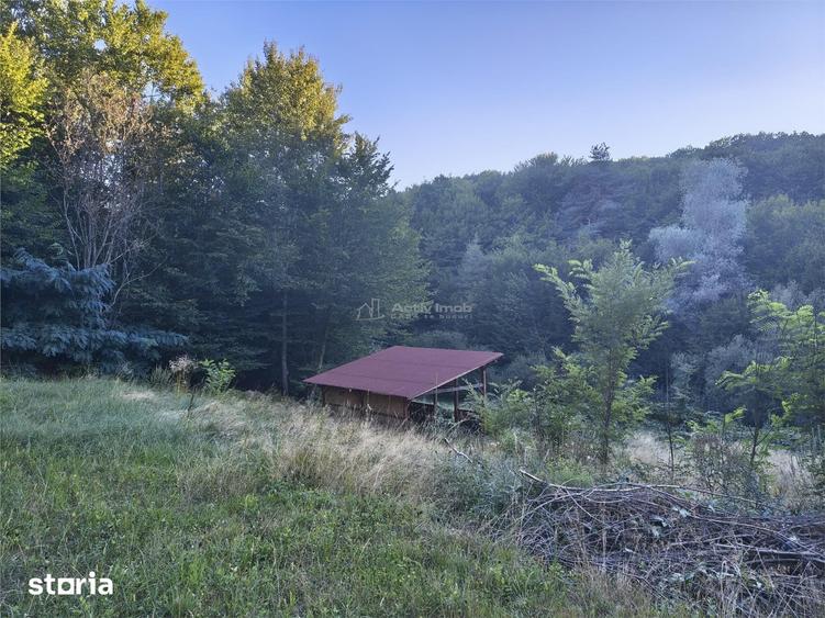 Teren intravilan de vanzare in padure Cisnadioara - 8