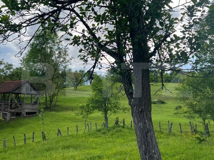 Teren Construcții intravilan de 5800 mp, în Hărțăgani