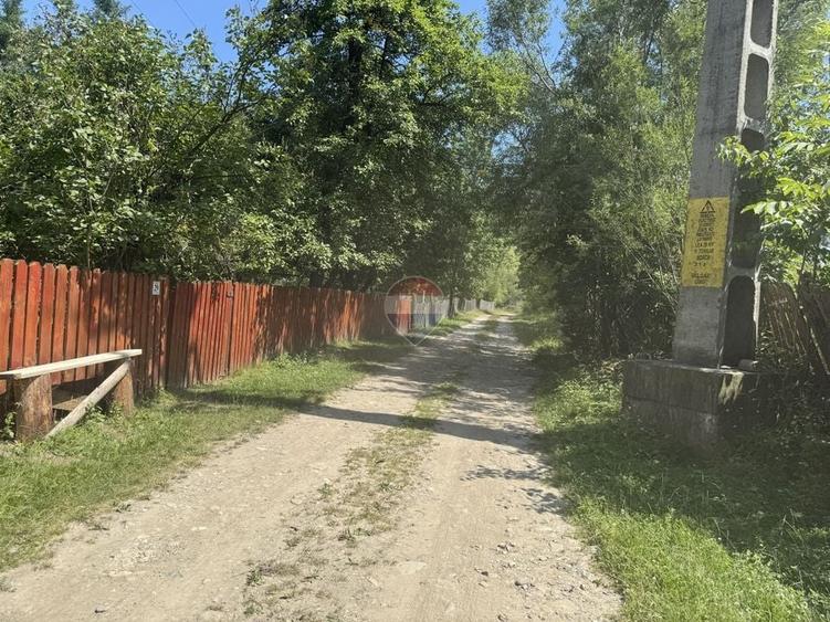 Teren Construcții intravilan de 2860 mp, în Borca