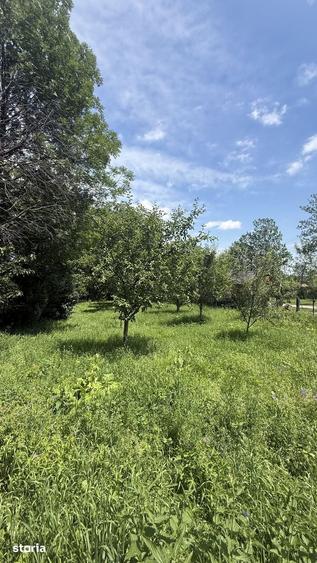 Teren de 2960 mp, în Talea