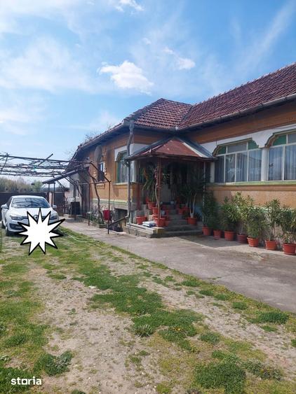 Casa 5 camere, 3500 mp teren - 5