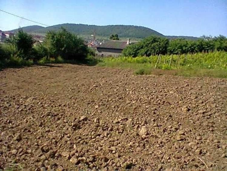Teren de 3200 mp, în Babadag