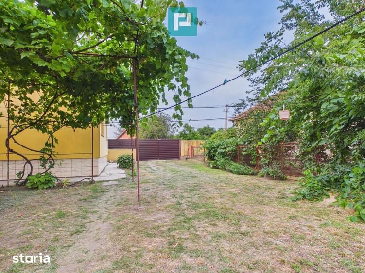 Casă cu 4 camere cu Teren 5538 Mp în Macea