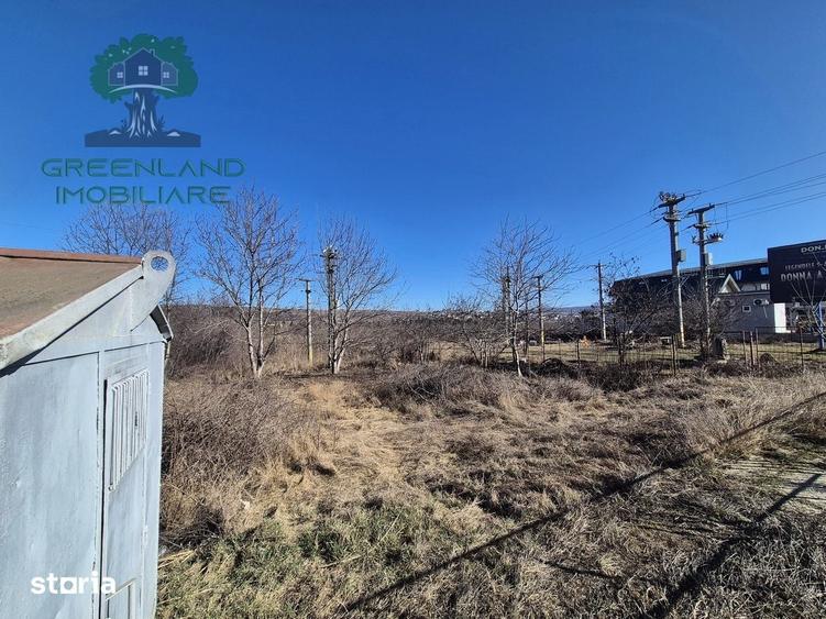 Teren de 1650 mp, în Ciurea