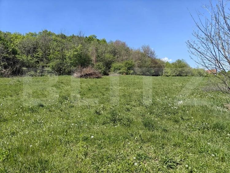 Teren Construcții intravilan de 1400 mp, în Curteni