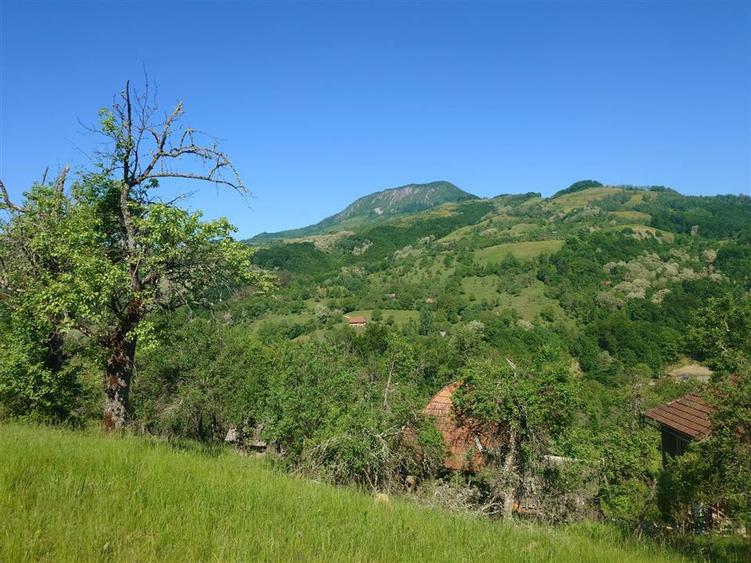 Casă individuală cu 3 camere cu Teren 13500 Mp în Blăjeni